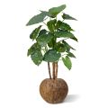 Alocasia Calidora Plante artificielle Deluxe 125 cm