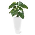 Alocasia Calidora en bouquet artificiel de 70 cm