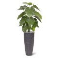 Alocasia Calidora plante artificielle de 115 cm