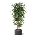 Bambou Arbre artificielle de 210cm