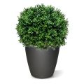 Boule de Buis Artificielle Deluxe 60 cm anti-uv