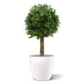Boule de buis artificiel deluxe 25 cm UV