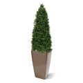 Buis de Pyramide Artificielle de 170 cm anti-uv