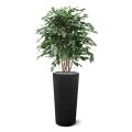 Ficus Exotica Plante Artificielle XL 110 cm