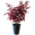 Erable artificiel rouge deluxe de 160cm