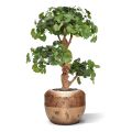 Ginkgo Bonsaï deluxe artificiel de 95 cm