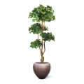 Ginko Bonsai deluxe arbre artificiel de 170 cm