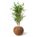 Bambou japonais plante artificielle 120 cm artificiel anti UV