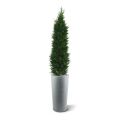 Conifère Plante Artificiele deluxe de 150 cm UV