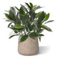 Laurier plante artificielle de 35 cm anti-UV en pot
