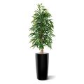 Longifolia Royal arbre artificiel 175 cm
