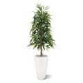 Longifolia Royal arbre artificiel 150 cm