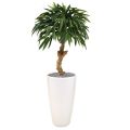 Longifolia Royal artificiel 90 cm sur tronc