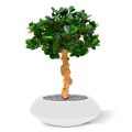 Panda Bonsaï Artificiel 60 cm sur pied