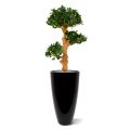 Panda Bonsaï Artificiel 90 cm x3 sur pied