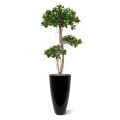 Panda Bonsaï arbre artificiel de 140 cm