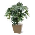 Philodendron selloum Plante Artificielle de 100 cm