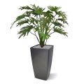 Philo Xanadu Plante Artificielle 65 cm