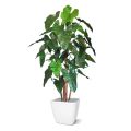 Philodendron deluxe arbre artificiel de 170 cm