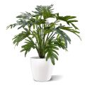Philodendron Plante Artificielle xanadou 50 cm