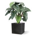 Philodendron plante artificielle XL de 120 cm