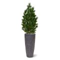 Pin artificielle Deluxe XL130 cm résistance aux UV