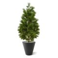 Pin Plante Artificielle Deluxe XL de 160 cm UV