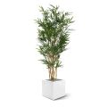 Bambou Royal artificiel arbre de 165 cm