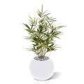 Bambou Royal Artificiel 70 cm panaché