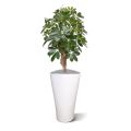 Schefflera plante artificielle de 65 cm sur socle