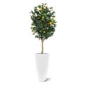Oranger artificiel deluxe 150cm