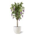 Wisteria Glycine arbre artificielle 150 cm lilas