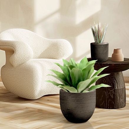 Les succulentes artificielles