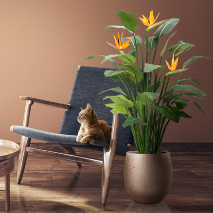 Plantes Fleuries Artificielles