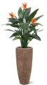 Plantes Artificielles
