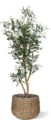 Arbres artificielles